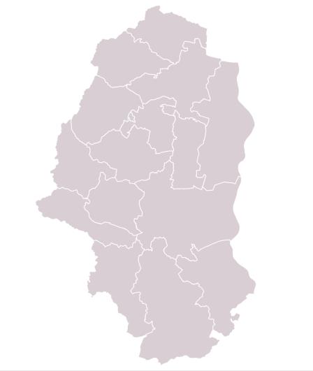 overview
