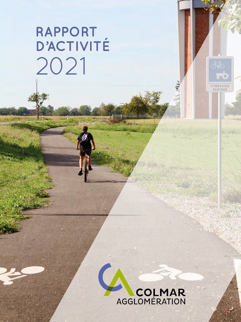 Le rapport d'activités 2020